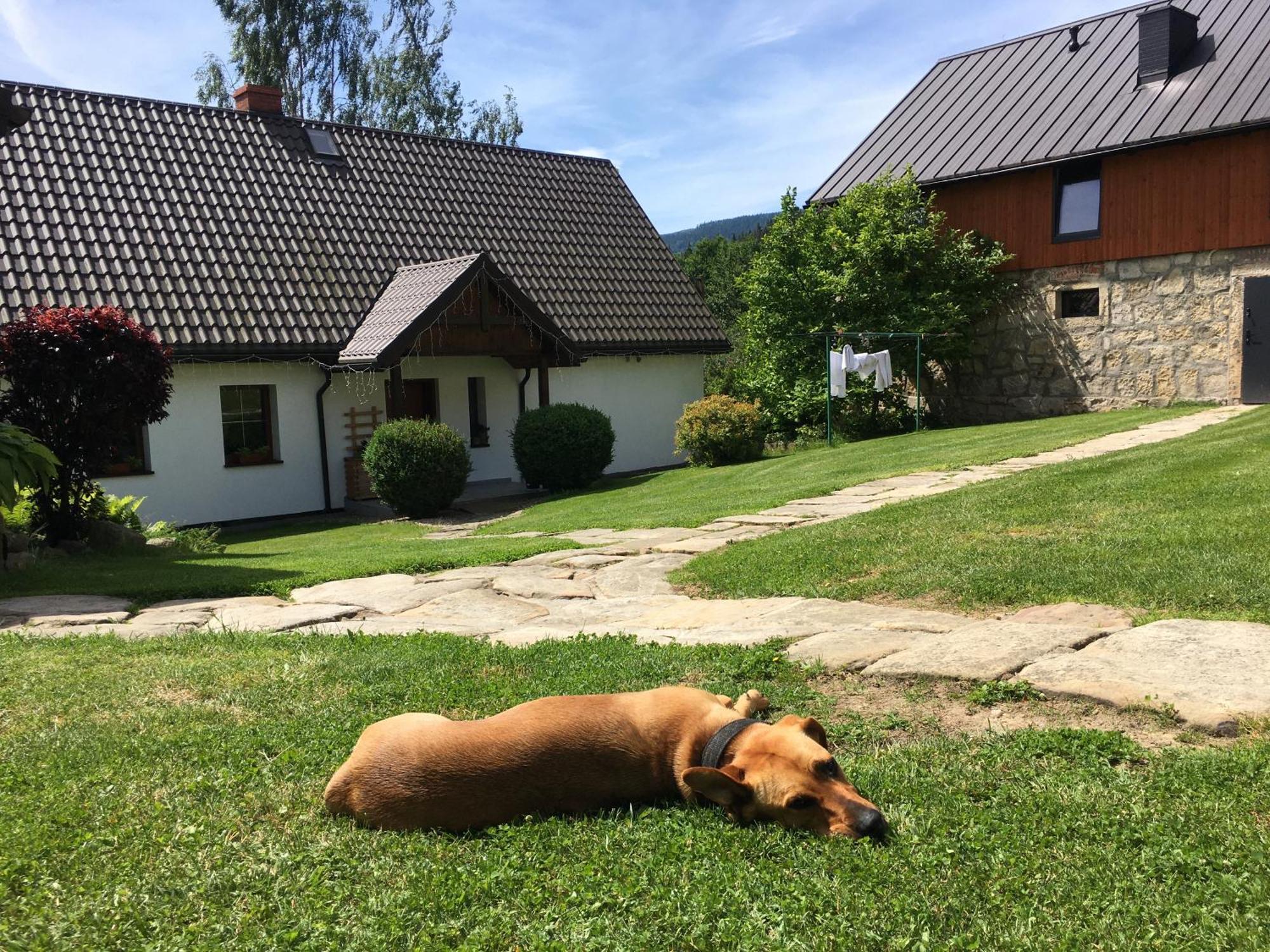Agroturystyka Ostoja Polanica-Zdrój Exterior foto